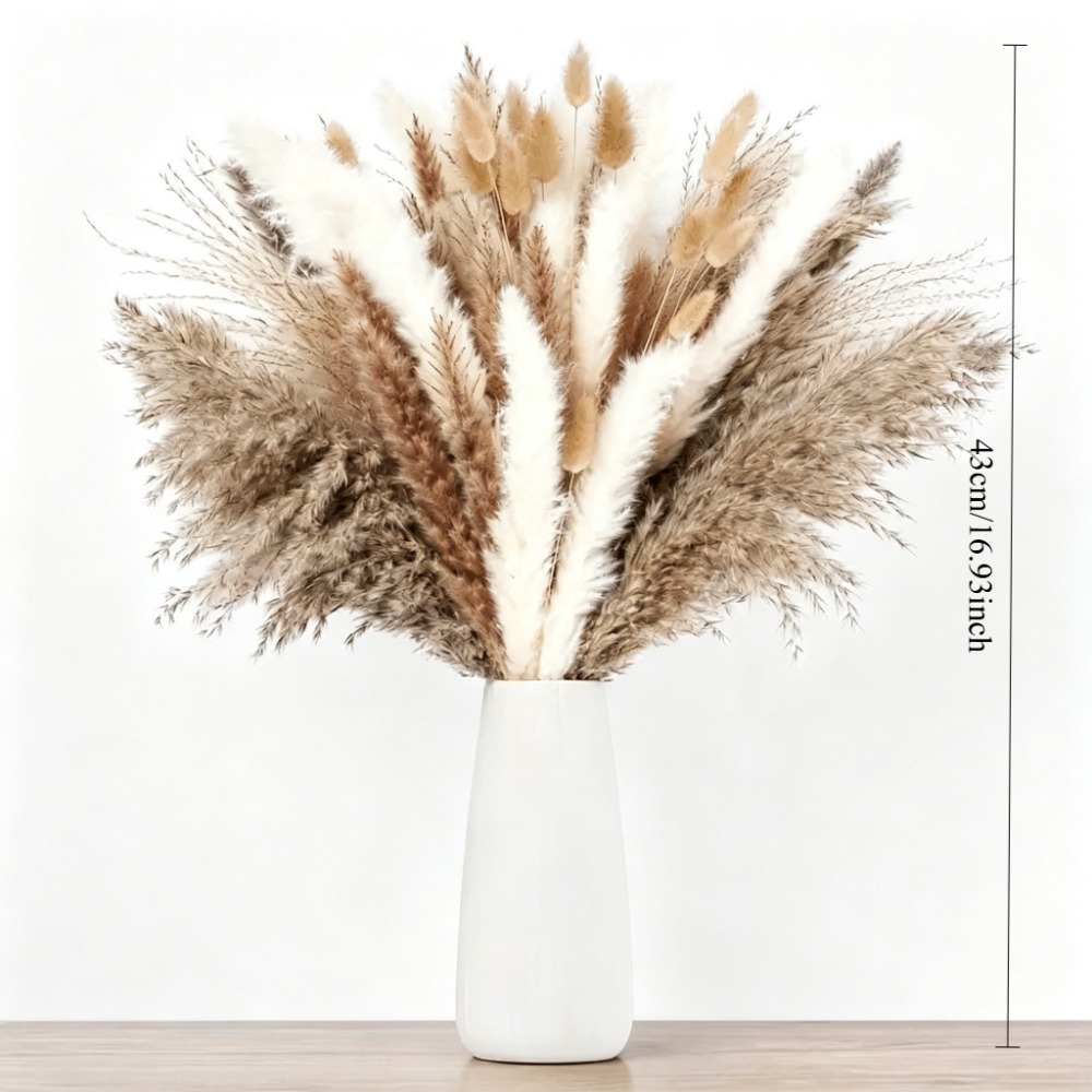 Dried Flowers Brown White Pamp - đánh giá và giá Pampas Grass Decor
