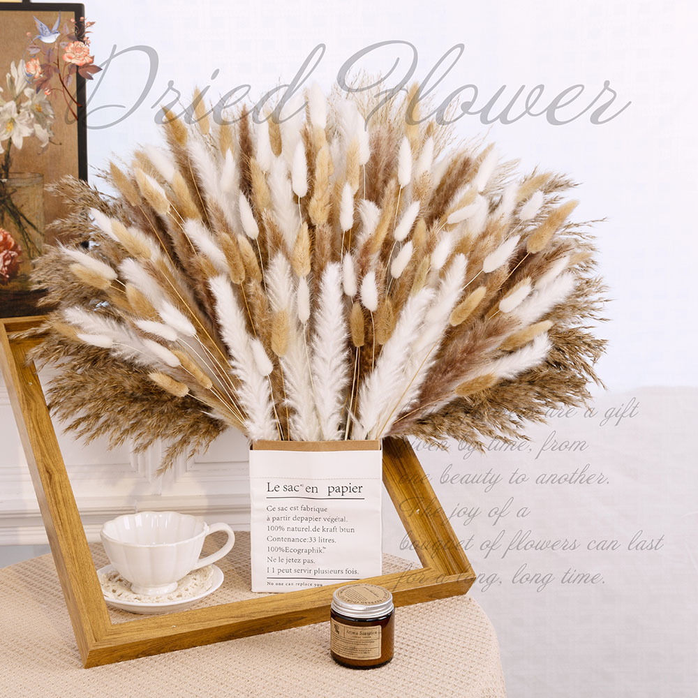 320PCS Mixed Fluffy Large Pamp - đánh giá và giá Pampas Grass Decor