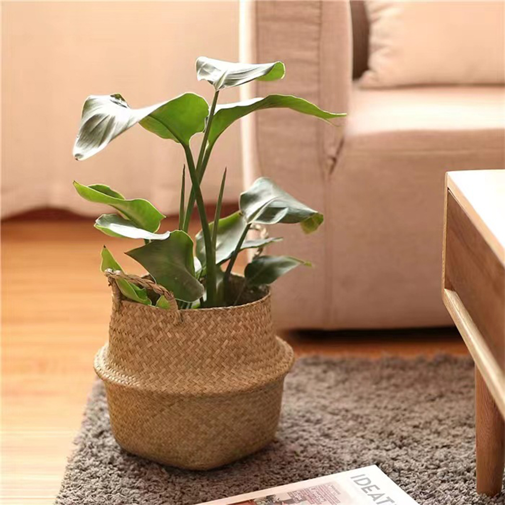 Plant Basket with Handles Wick - đánh giá và giá Rattan Plant Basket