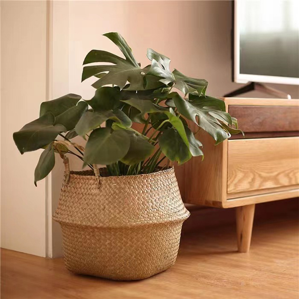 Plant Basket with Handles Wick - đánh giá và giá Rattan Plant Basket